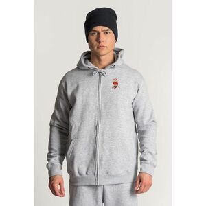Mikina s Kapucí na Zip, Barva Šedá, s Potiskem Skiing Teddy obraz