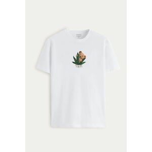 Tričko, Barva Bílá, s Potiskem 420 Teddy obraz