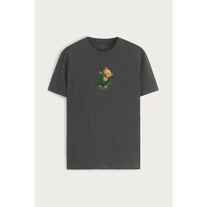 Tričko, Barva Železitě Šedá, s Potiskem 420 Teddy obraz