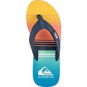 Quiksilver Molokai Layback, Pánské pantofle, Velikost: 39 EUR obraz