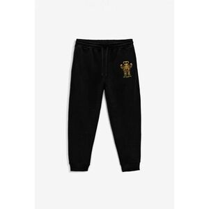 Tepláky Jogger , Barva Černá, s Potiskem Rich Flex Teddy obraz