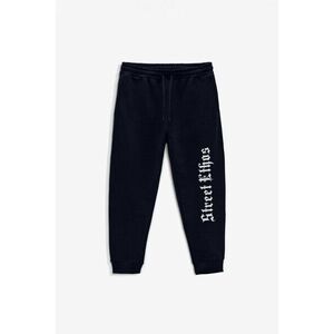 Tepláky Jogger , Barva Modrá, s Potiskem Street Ethos obraz