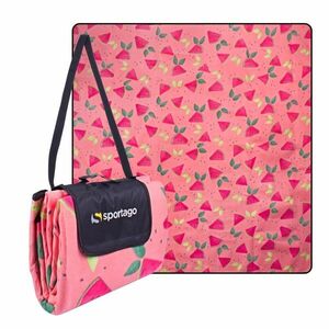 Sportago Watermelons pikniková deka 200x200 cm obraz