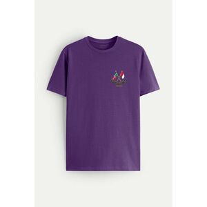 Tričko, Barva Fialová , s Potiskem Nautical Flags obraz
