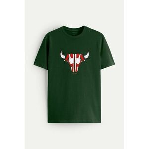 Tričko, Barva Zelená, s Potiskem Legend Sneakers obraz