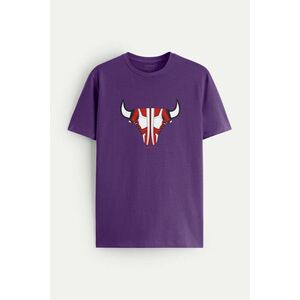 Tričko, Barva Fialová , s Potiskem Legend Sneakers obraz