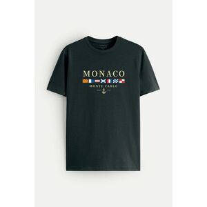 Tričko, Barva Železitě Šedá, s Potiskem Monte Carlo obraz