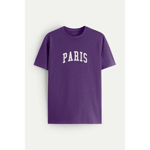 Tričko, Barva Fialová , s Potiskem Paris Letters obraz