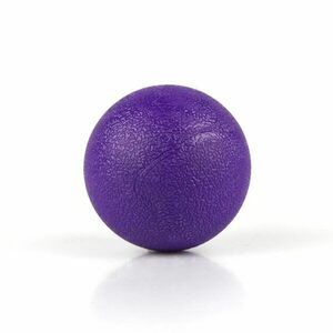 Masážní Therapy míček TPE Sportago 6 cm - fialová obraz