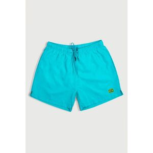 Plavecké Šortky , Barva Veraman, s Potiskem Brazil Flag obraz