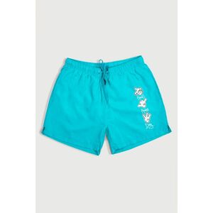 Plavecké Šortky , Barva Veraman, s Potiskem Have A Nice Day obraz