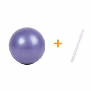 Sportago Pilate Ball 25 cm - fialová obraz