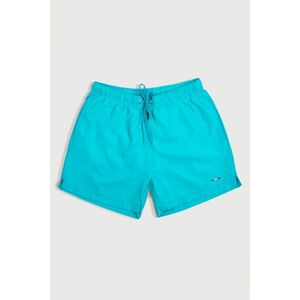 Plavecké Šortky , Barva Veraman, s Potiskem French Stripe obraz