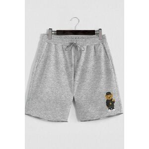 Šortky, Barva Šedá, s Potiskem Compton Rapper Teddy obraz