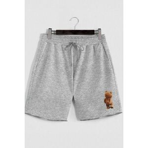 Šortky, Barva Šedá, s Potiskem Teddys Opinion obraz