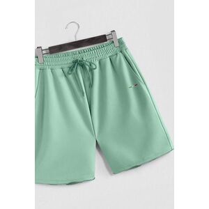 Šortky, Barva Světle Zelená, s Potiskem Italian Stripe obraz