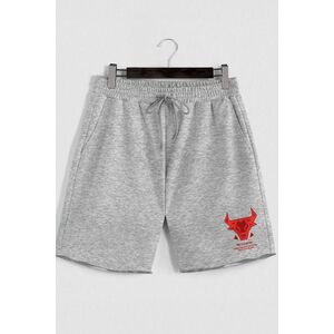 Šortky, Barva Šedá, s Potiskem Bulls Eye obraz