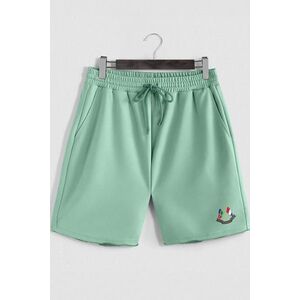 Šortky, Barva Světle Zelená, s Potiskem Nautical Flags obraz
