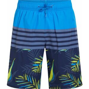 Firefly Nigel Swim Shorts Kids, Šortky, Velikost: 164 obraz