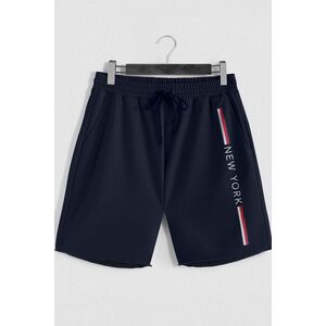 Šortky, Barva Modrá, s Potiskem New York Stripe obraz