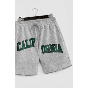 Šortky, Barva Šedá, s Potiskem California Seperated obraz