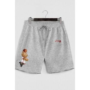 Šortky, Barva Šedá, s Potiskem Champion Mindset Teddy obraz