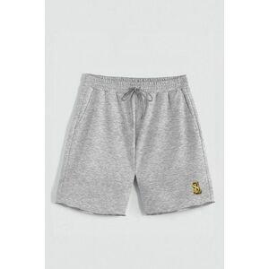 Kraťasy, Barva šedá, s Potiskem Hedrix SL obraz