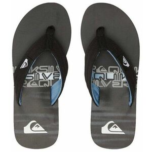Quiksilver Molokai Layback II, Pánské pantofle, Velikost: 41 EUR obraz