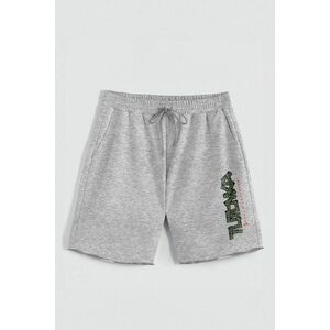 Kraťasy, Barva šedá, s Potiskem Hedrix Dollars obraz