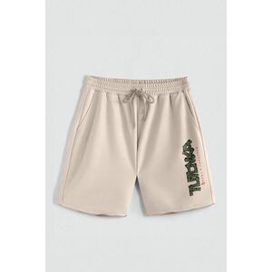 Kraťasy, Barva Ecru, s Potiskem Hedrix Dollars obraz