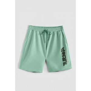 Kraťasy, Barva Světle Zelená, s Potiskem Hedrix Dollars obraz