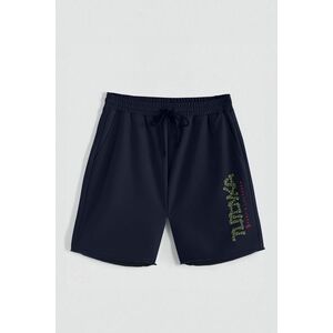 Kraťasy, Barva Modrá, s Potiskem Hedrix Dollars obraz