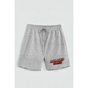 Kraťasy, Barva šedá, s Potiskem Hedrix Barak obraz