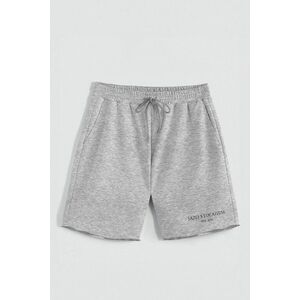 Kraťasy, Barva šedá, s Potiskem Hedrix Sazej S Lucazzem obraz