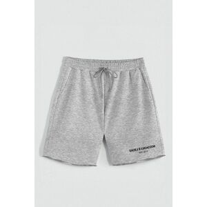 Kraťasy, Barva šedá, s Potiskem Hedrix 2015 obraz