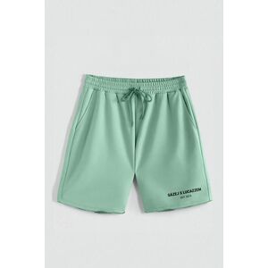 Kraťasy, Barva Světle Zelená, s Potiskem Hedrix 2015 obraz