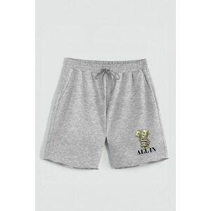 Kraťasy, Barva šedá, s Potiskem Hedrix All In obraz