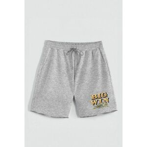Kraťasy, Barva šedá, s Potiskem Hedrix Big Win obraz