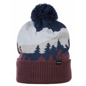 Icepeak Hallsburg Beanie, Čepice, Velikost: Univerzální velikost obraz
