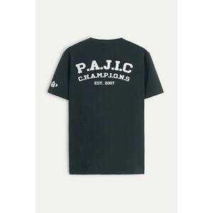 Tričko, Barva Železná šedá, s Potiskem Est 2007 obraz