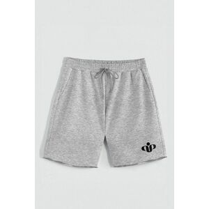 Kraťasy, Barva šedá, s Potiskem Hedrix Logo obraz