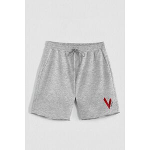 Kraťasy, Barva šedá, s Potiskem Hedrix V obraz