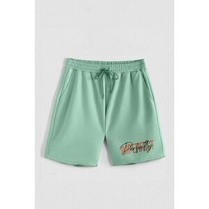 Kraťasy, Barva Světle Zelená, s Potiskem Hedrix Imperfect obraz