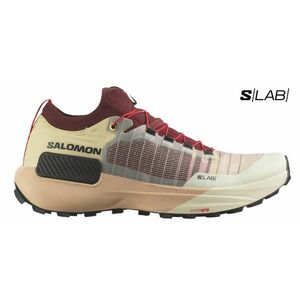 Salomon S/LAB Genesis, Ponožky, Velikost: 46 EUR obraz
