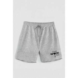 Kraťasy, Barva šedá, s Potiskem Hedrix Spoon obraz