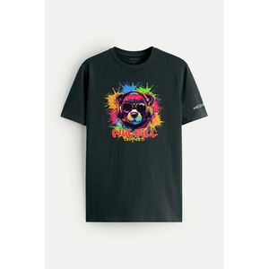 Tričko, Barva Železná šedá, s Potiskem Colorfull Bear obraz