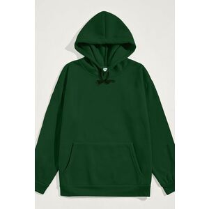 Mikina s Kapucí, Barva Zelená, s Potiskem Regular Hoodie obraz