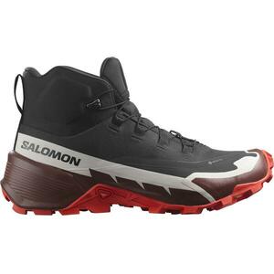 Salomon Cross Hike 2 Mid GTX M, Pohorky, Velikost: 45 1/3 EUR obraz