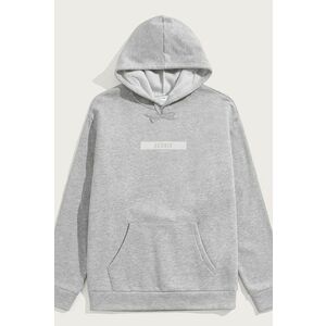 Mikina s Kapucí, Barva Šedá, s Potiskem Discreet Hedrix Logo obraz