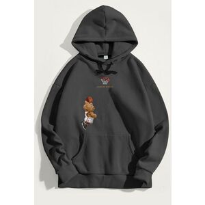 Mikina s Kapucí, Barva Železitě Šedá, s Potiskem Champion Mindset Teddy obraz